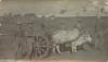 Pte. Harold Dean and fellow soldiers with garbage wagon in Africa, B.E.F., WWI